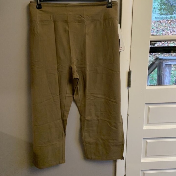 Women w/ Control SMOOTH & SLEEK Tummy Control TAUPE Pants PETITE 5X NIP - Picture 1 of 4